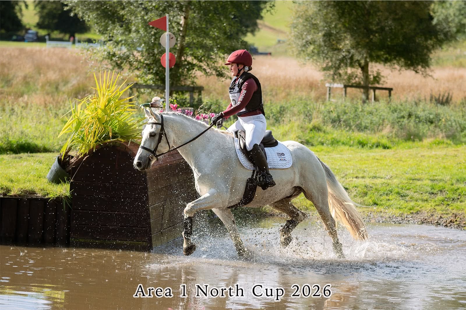 Gallery Image for Pony Club