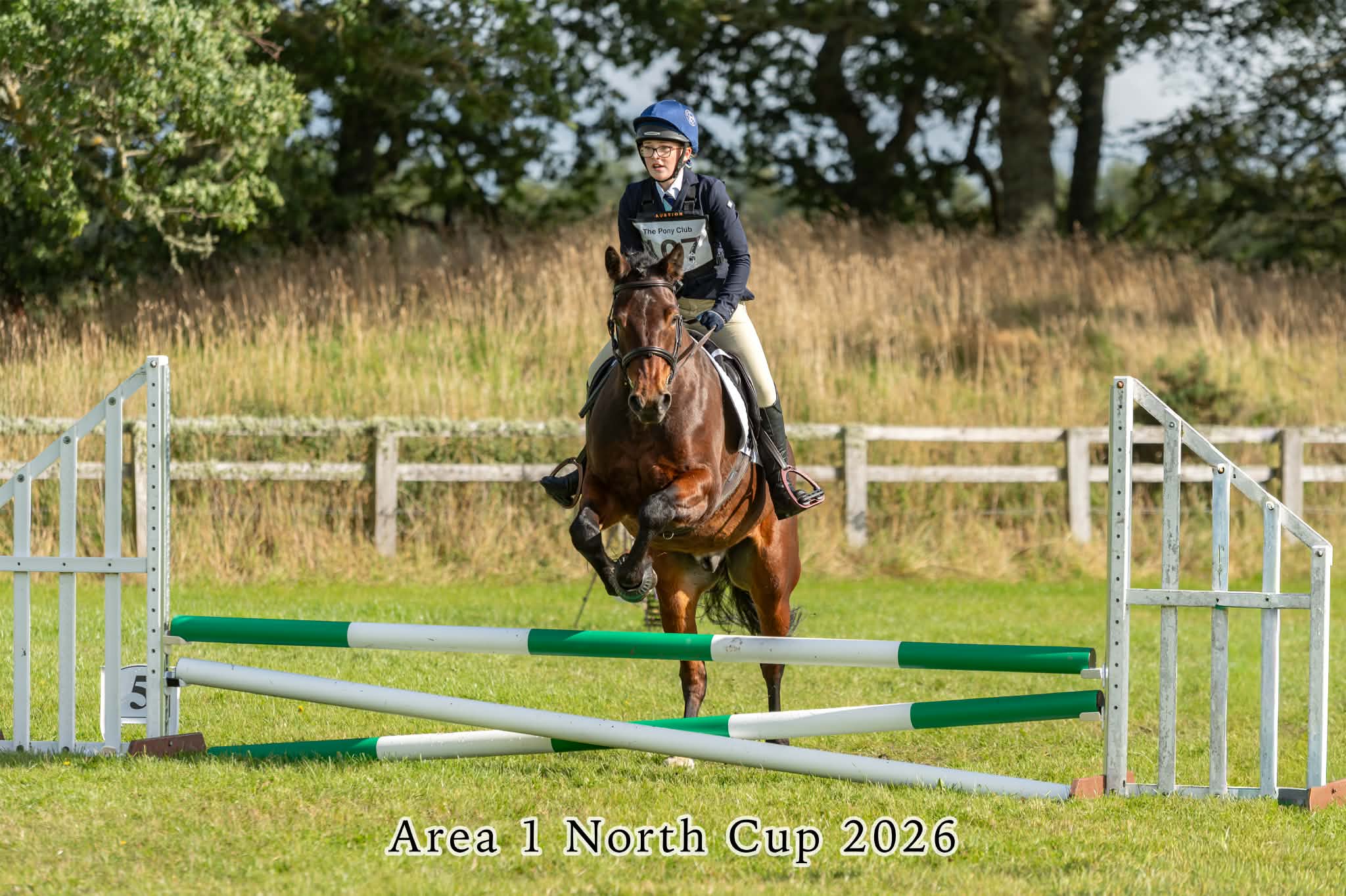 Gallery Image for Pony Club