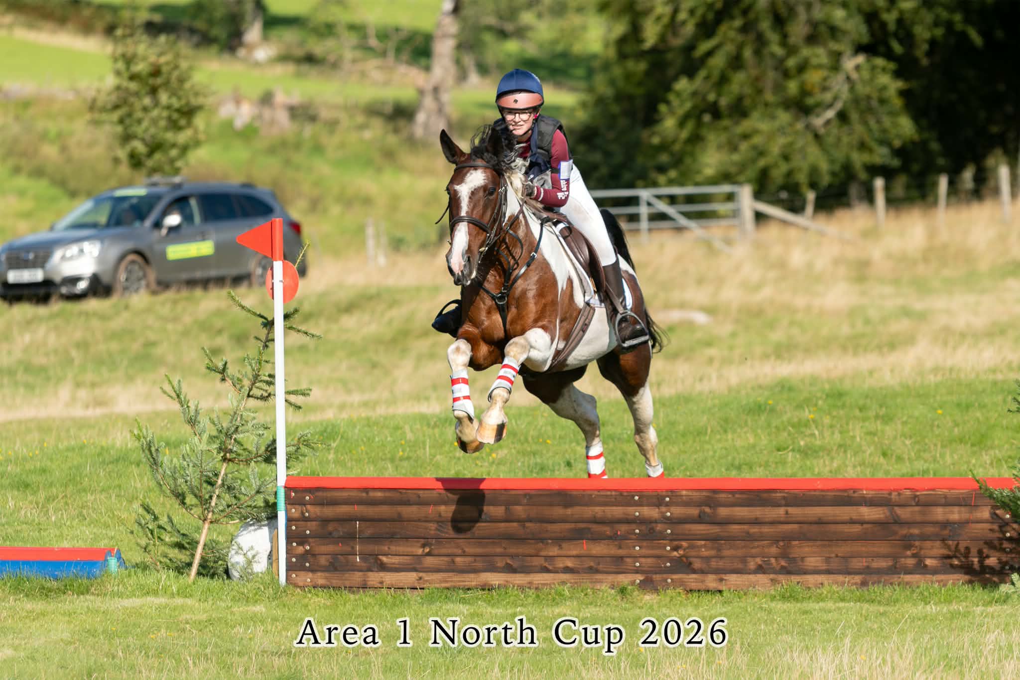 Gallery Image for Pony Club