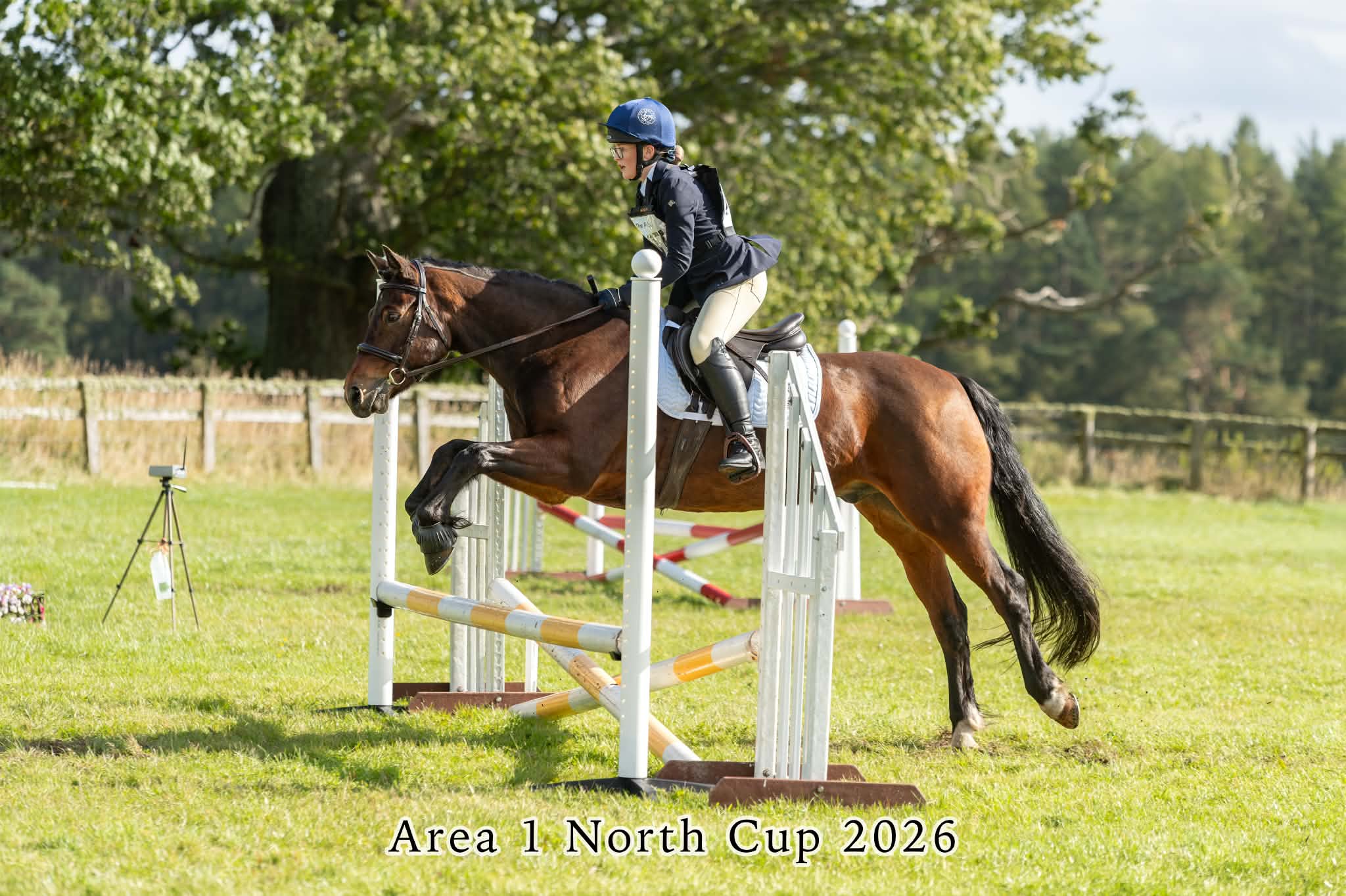 Gallery Image for Pony Club