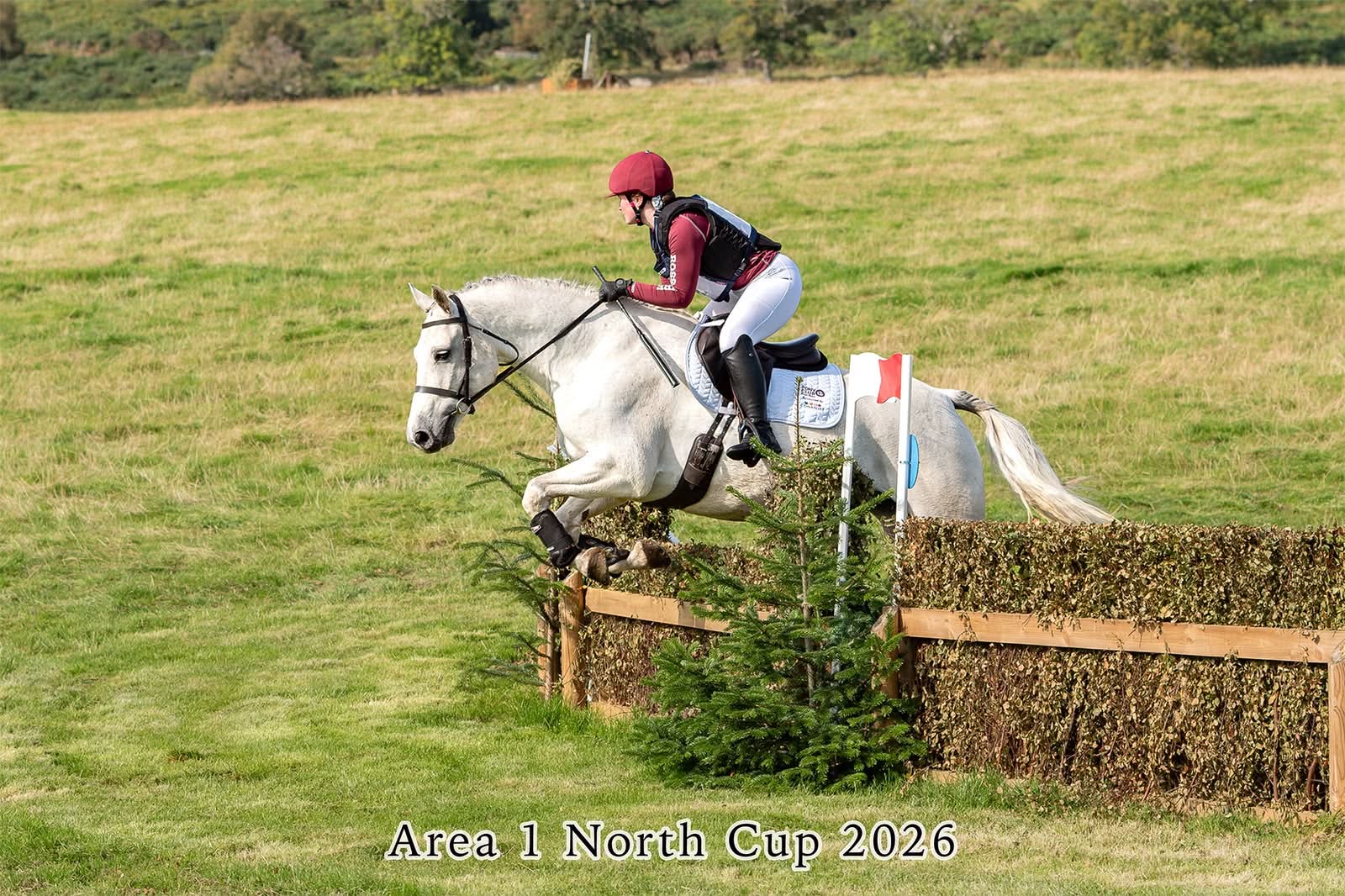 Gallery Image for Pony Club