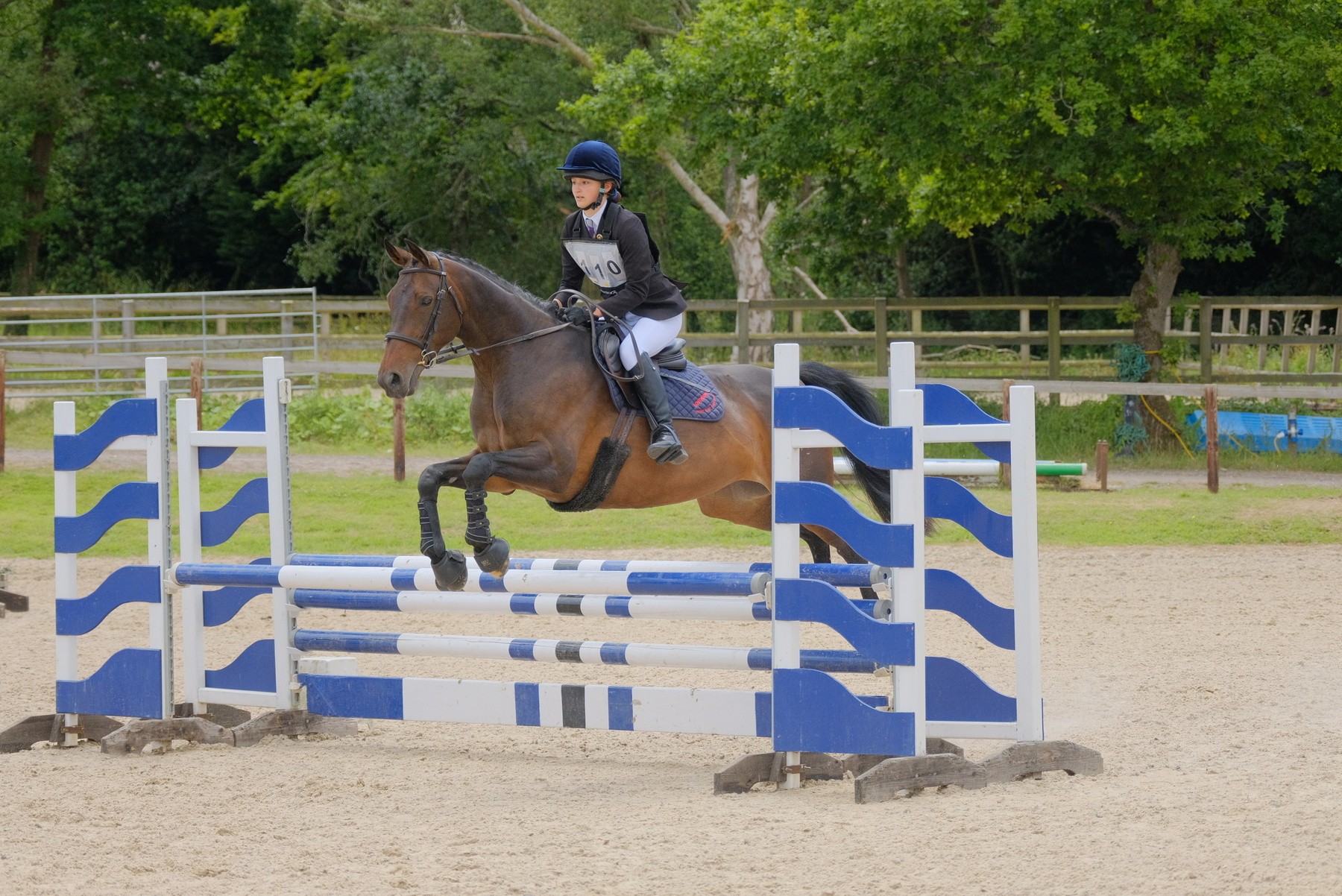 Showjumping
