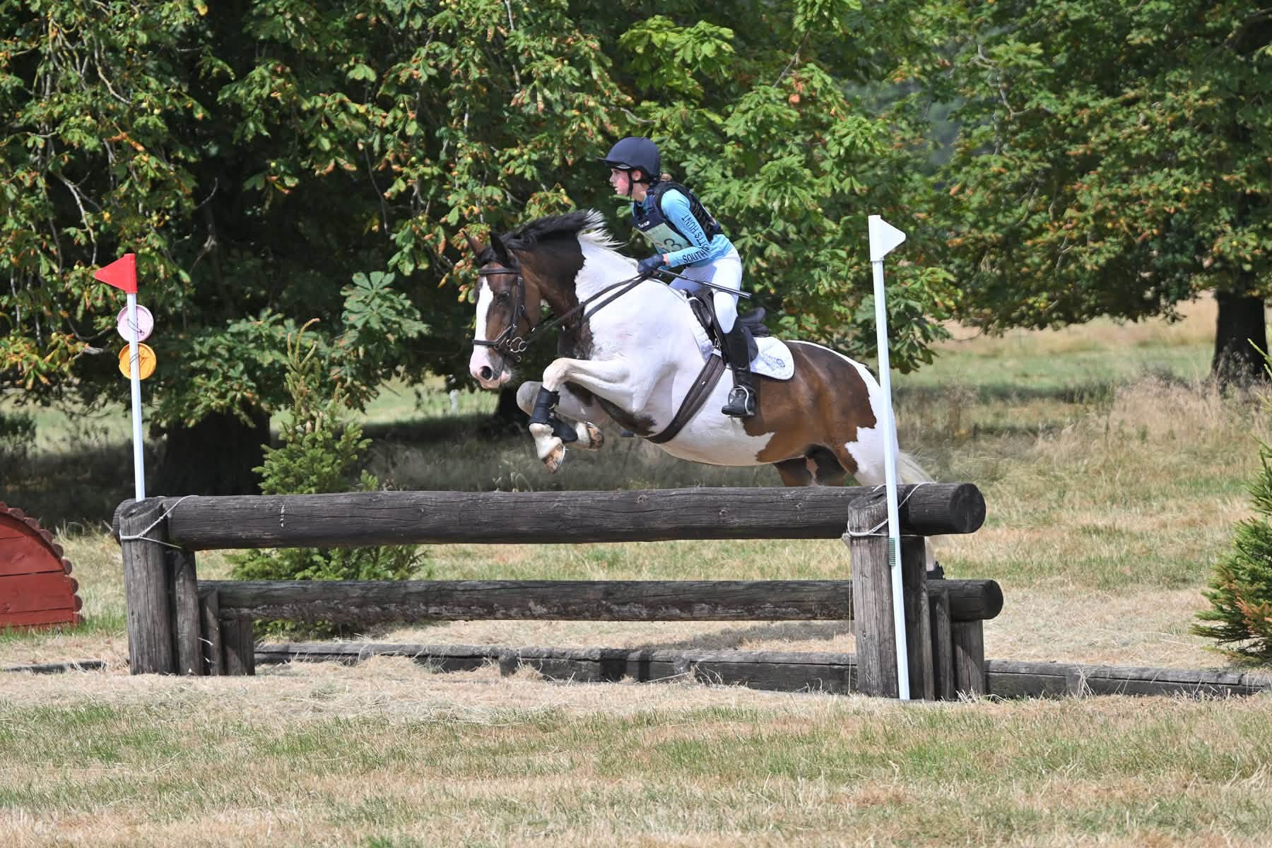 Gallery Image for Pony Club