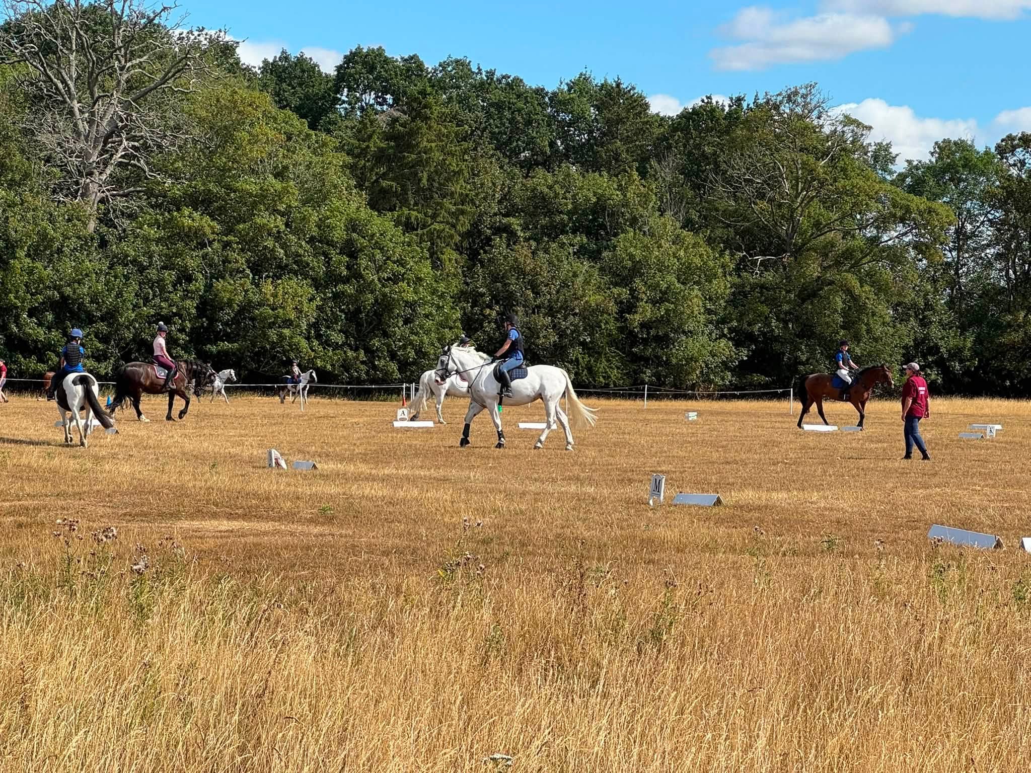 Gallery Image for Pony Club