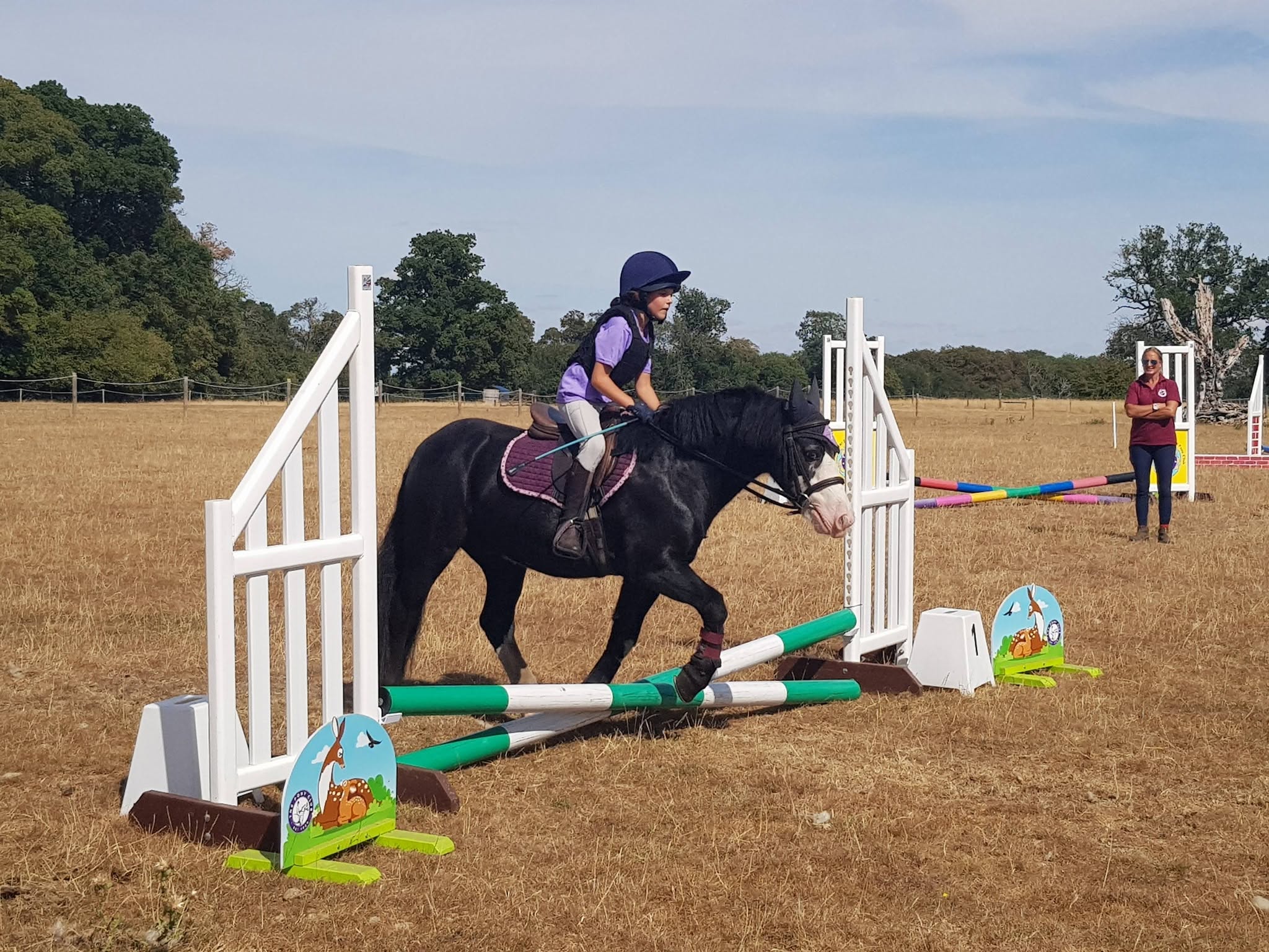 Gallery Image for Pony Club