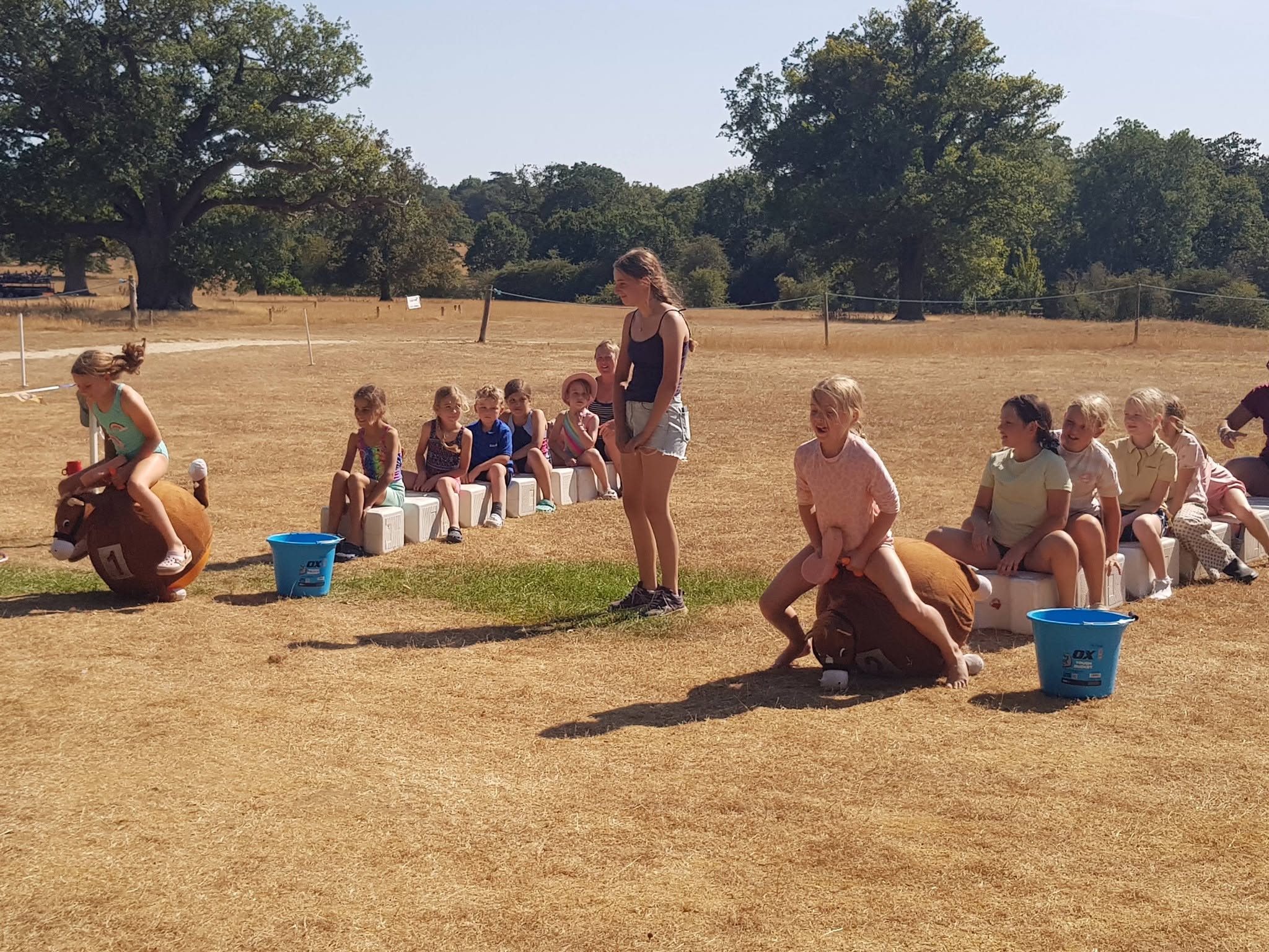 Gallery Image for Pony Club