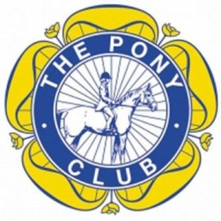 Pony Club Logo yellow flower with a blue circle