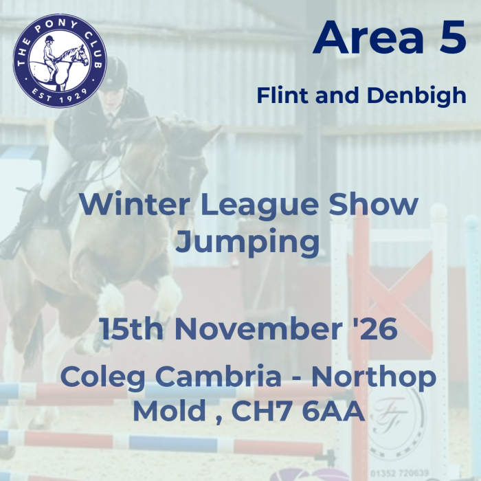 Area 5 - Flint and Denbigh - WL Show Jumping - Northop - 15/11/26