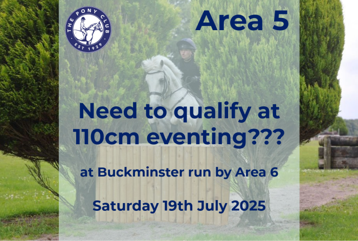 Need to qualify at 110cm eventing - Read on ..