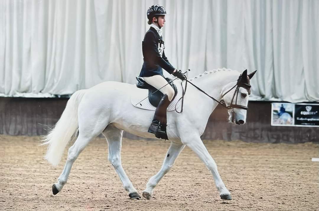 Spring Festival Dressage and Arena Eventing Qualifiers 2024