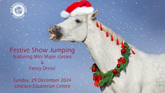 Festive Show Jumping, 29 Dec - Book Now!